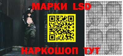 гидропоника Новокубанск